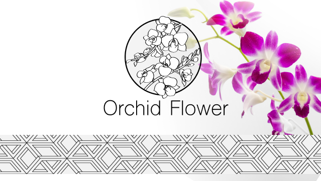 Orchid flowers orchid 意味 花の色によって意味が違う胡蝶蘭の花言葉は縁起の良い言葉